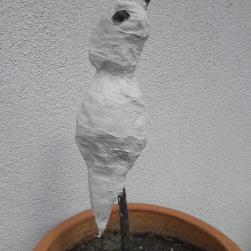 Sommervogel 5