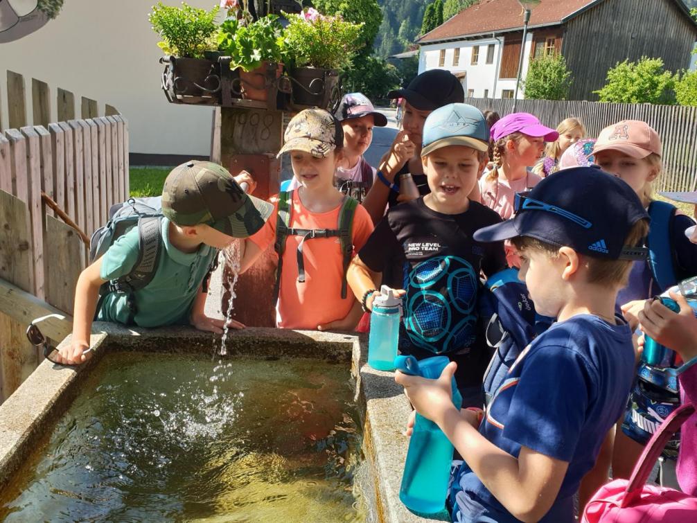 © Barbara Radmüller 2023 06 13 Dorfbachwanderung Foto 5